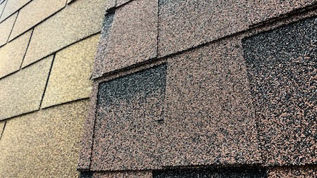 Types of shingles Dallas, GA